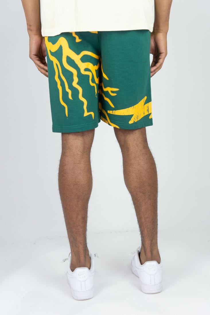 Devout F/t Shorts - Hunter Gr