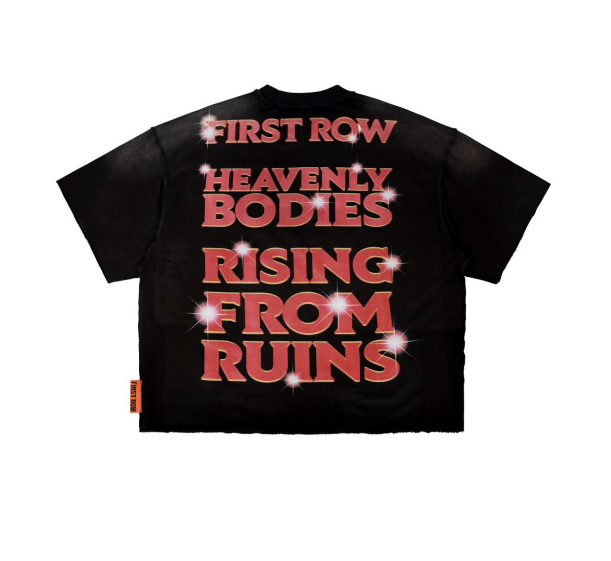 Rising From Ruins Crop Fit - Black