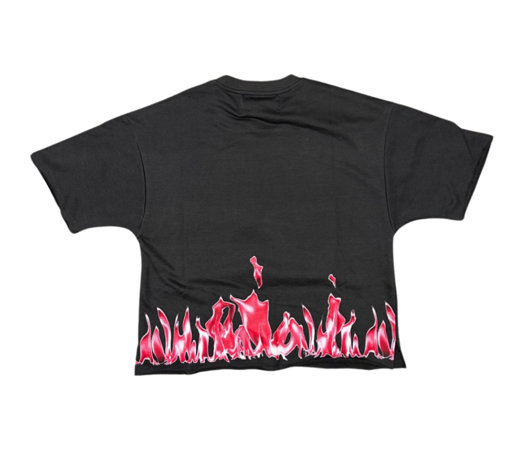 Trust No One F-Terry Cropped Tee - Grey