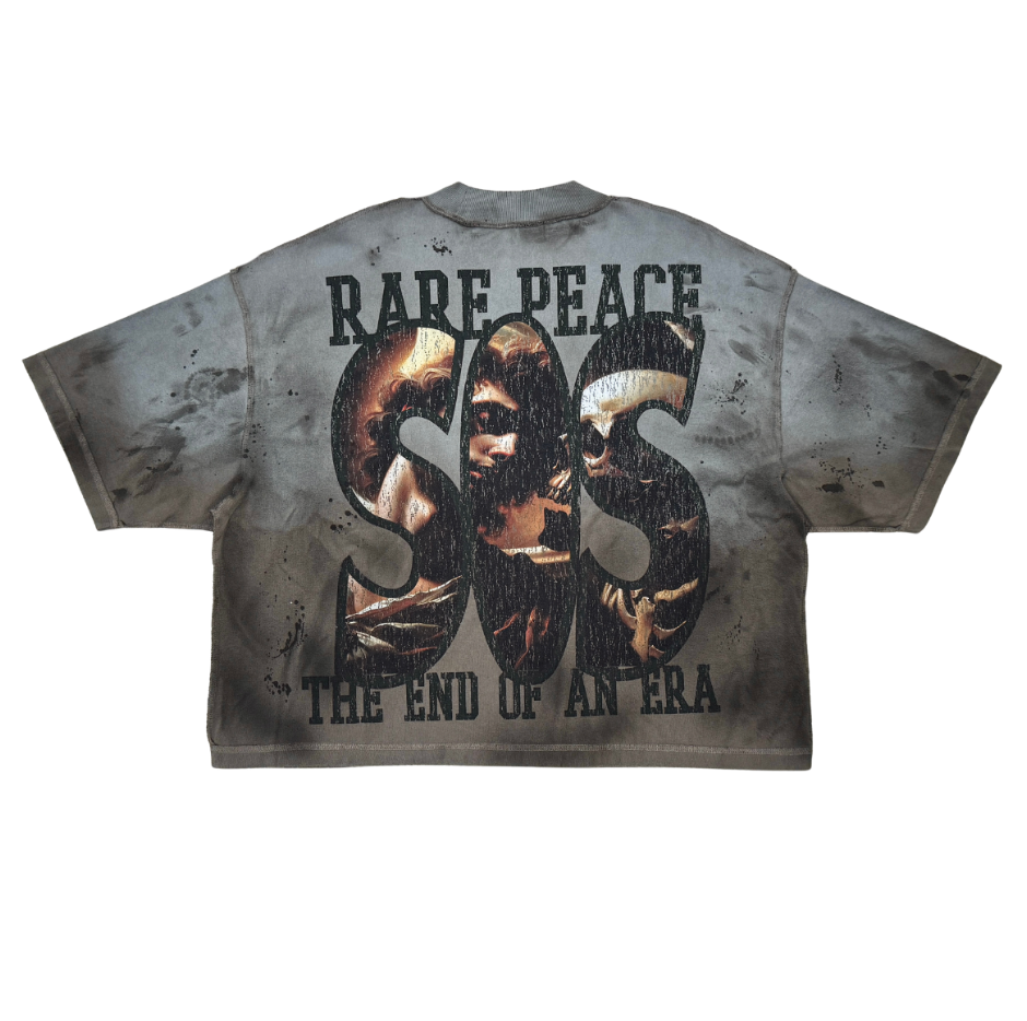 Angel Of Death Rhinestone Cropped Tee - Grey