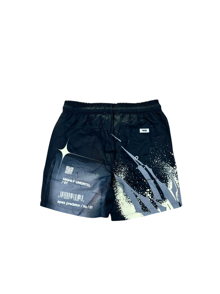 Apex Shorts - Sail