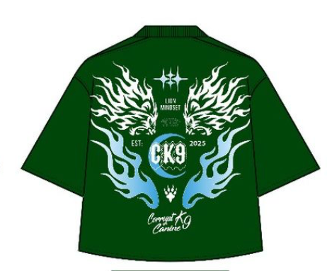 Fly High Tee - Green