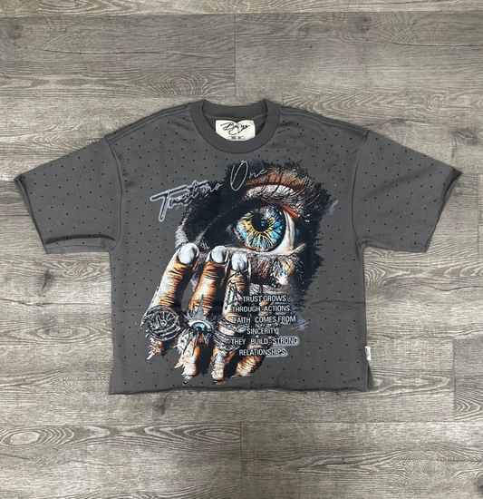 Crystal Eye F-Terry Cropped Tee - Grey