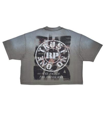 Washed Heavy Cropped Tee w Rhinestones - Grey