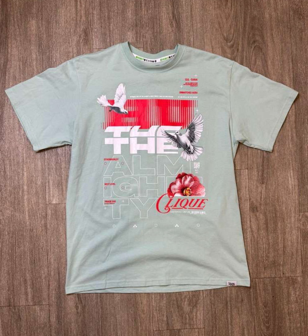The Almighty Graphic Tee - Mint