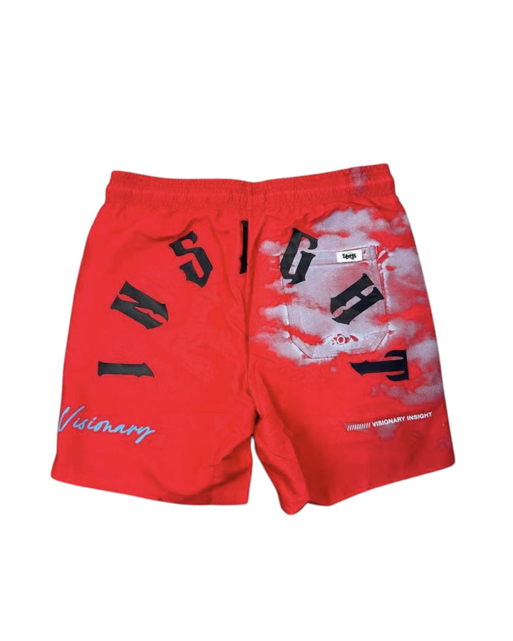 VISIONARY INSIGHT SHORTS