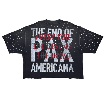 Pax Americana Rhinestone Cropped Tee - Grey