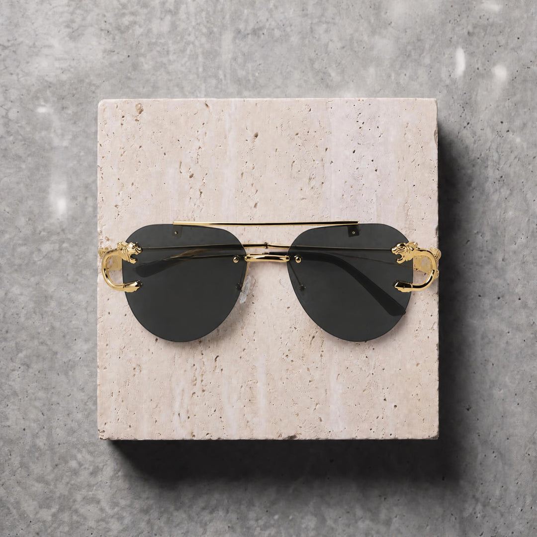 Sunglasses (rs2403) -gold/black