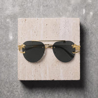 Sunglasses (rs2403) -gold/black