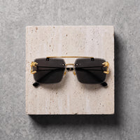 Sunglasses (rs2436) -Gold/Black