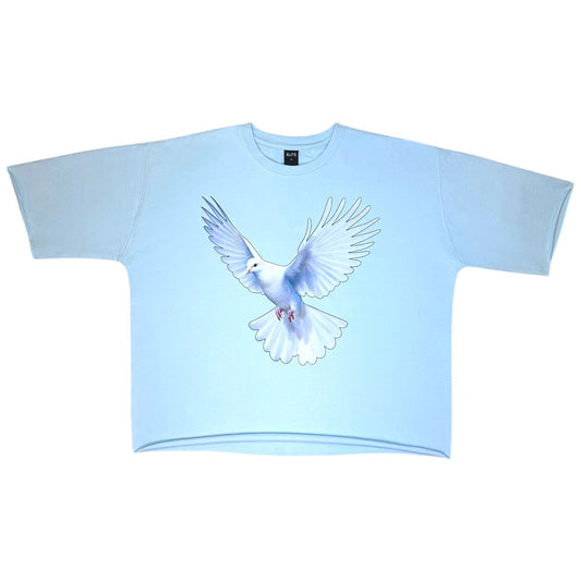Dove Oversized Cropped Tee - Sky Blue