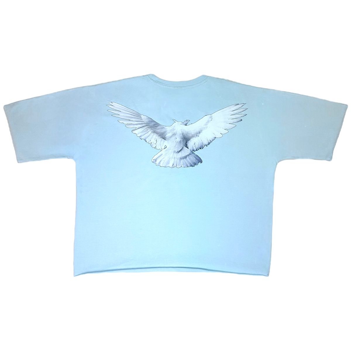 Dove Oversized Cropped Tee - Sky Blue