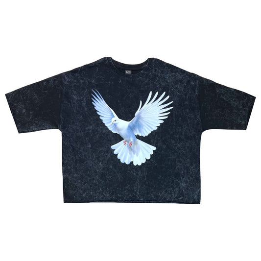 Dove Oversized Cropped tee - Washed black